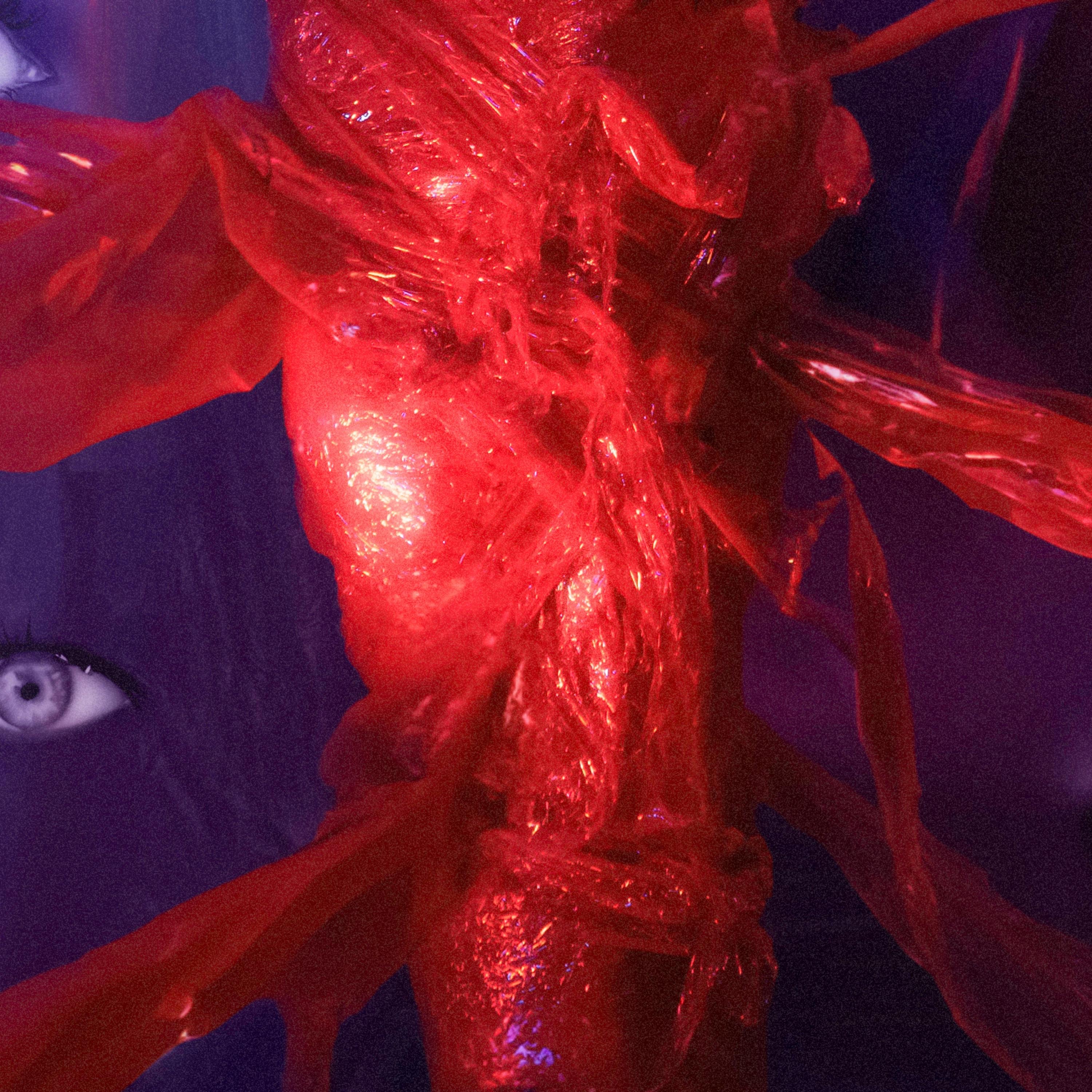 love me ugly album cover