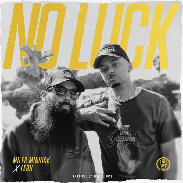 No Luck (feat. Fern) - Single album cover