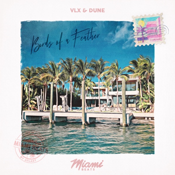 BIRDS OF a FEATHER - Single album cover