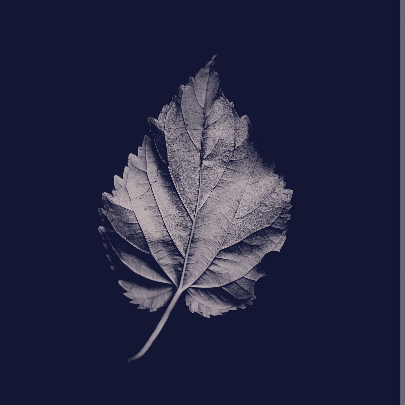 Ordinary World - Single album cover
