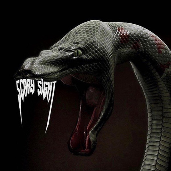Scary Sight - Single album cover