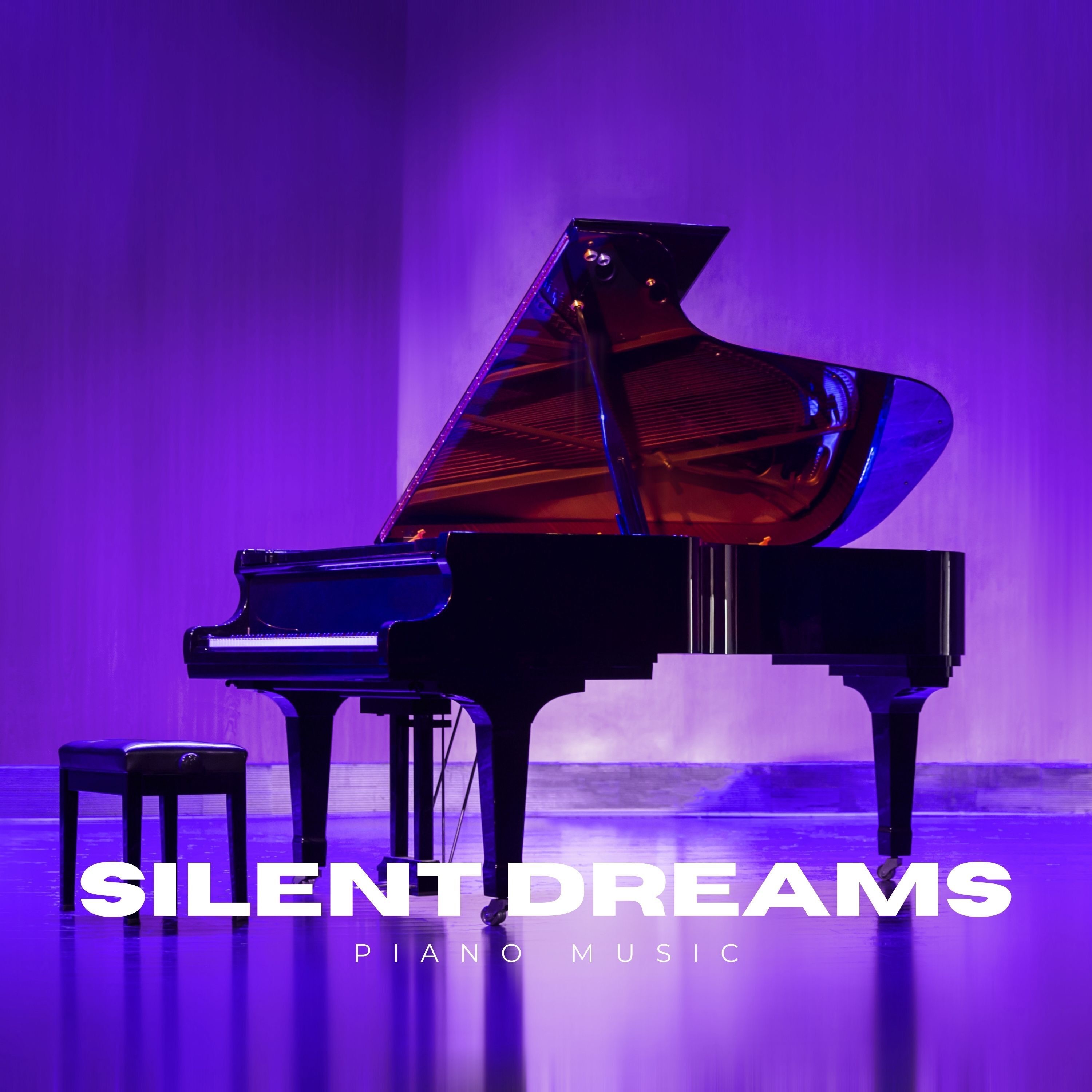 Silent Dreams: Instrumental Piano Music album cover