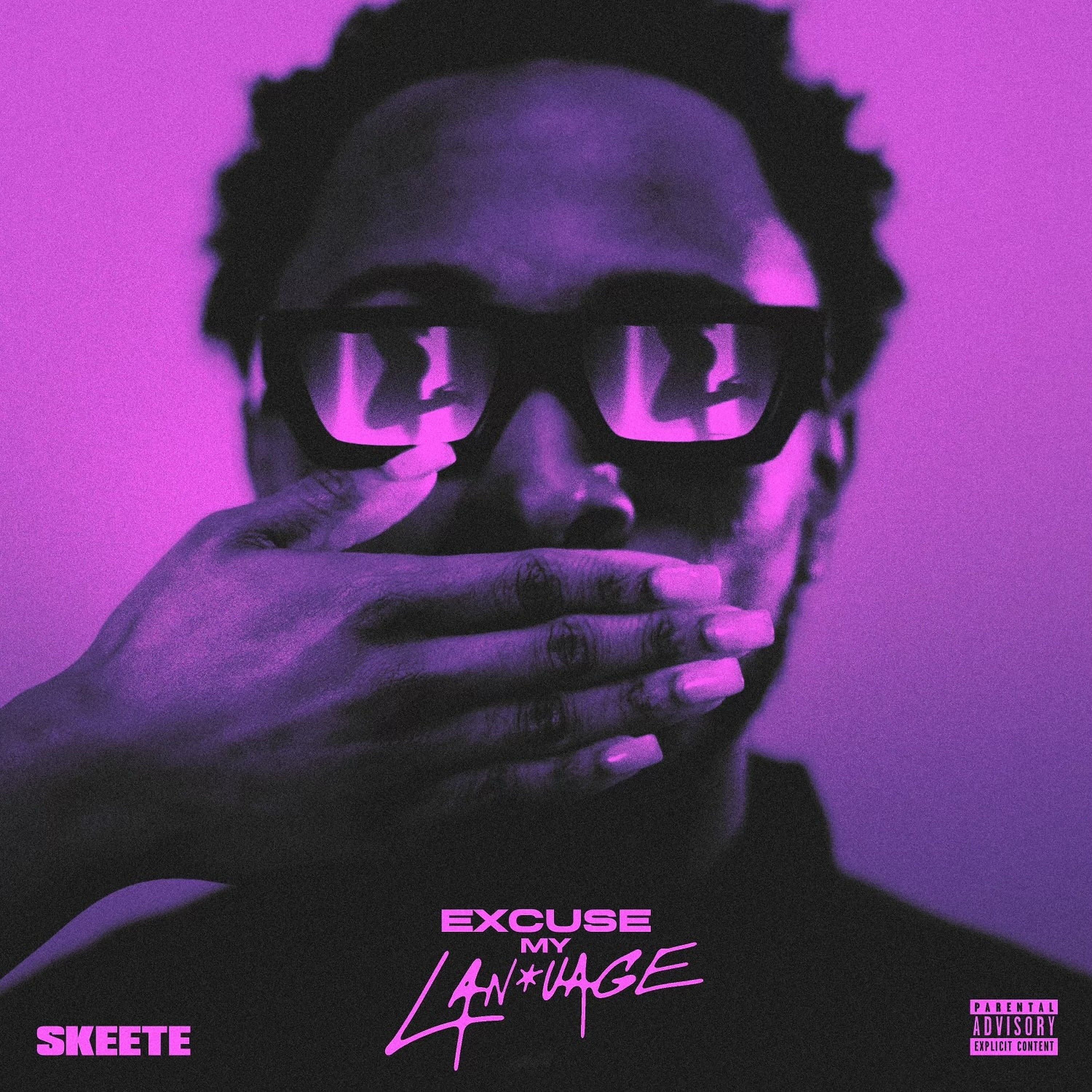 Excuse My Language album cover