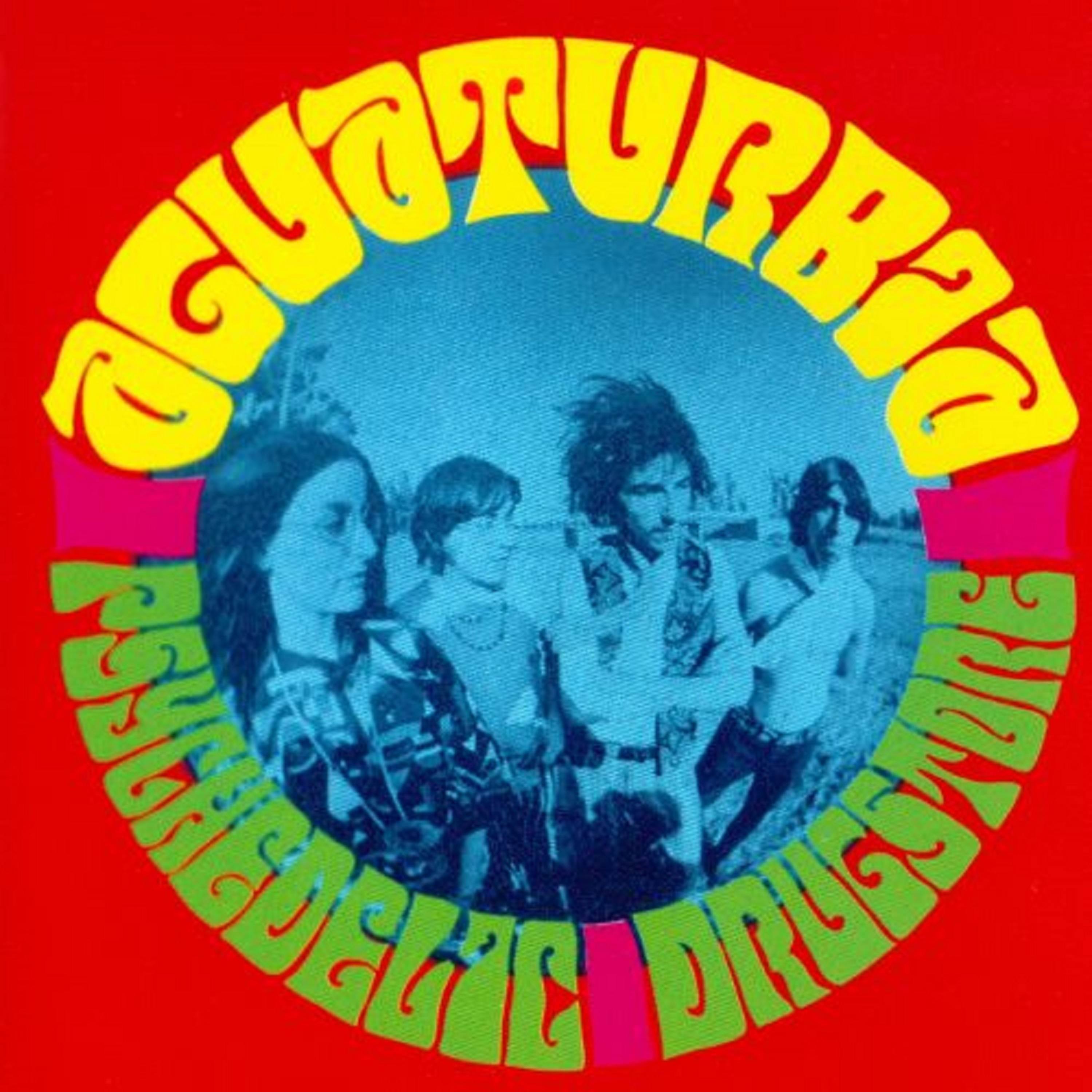 Psychedelic Drugstore album cover