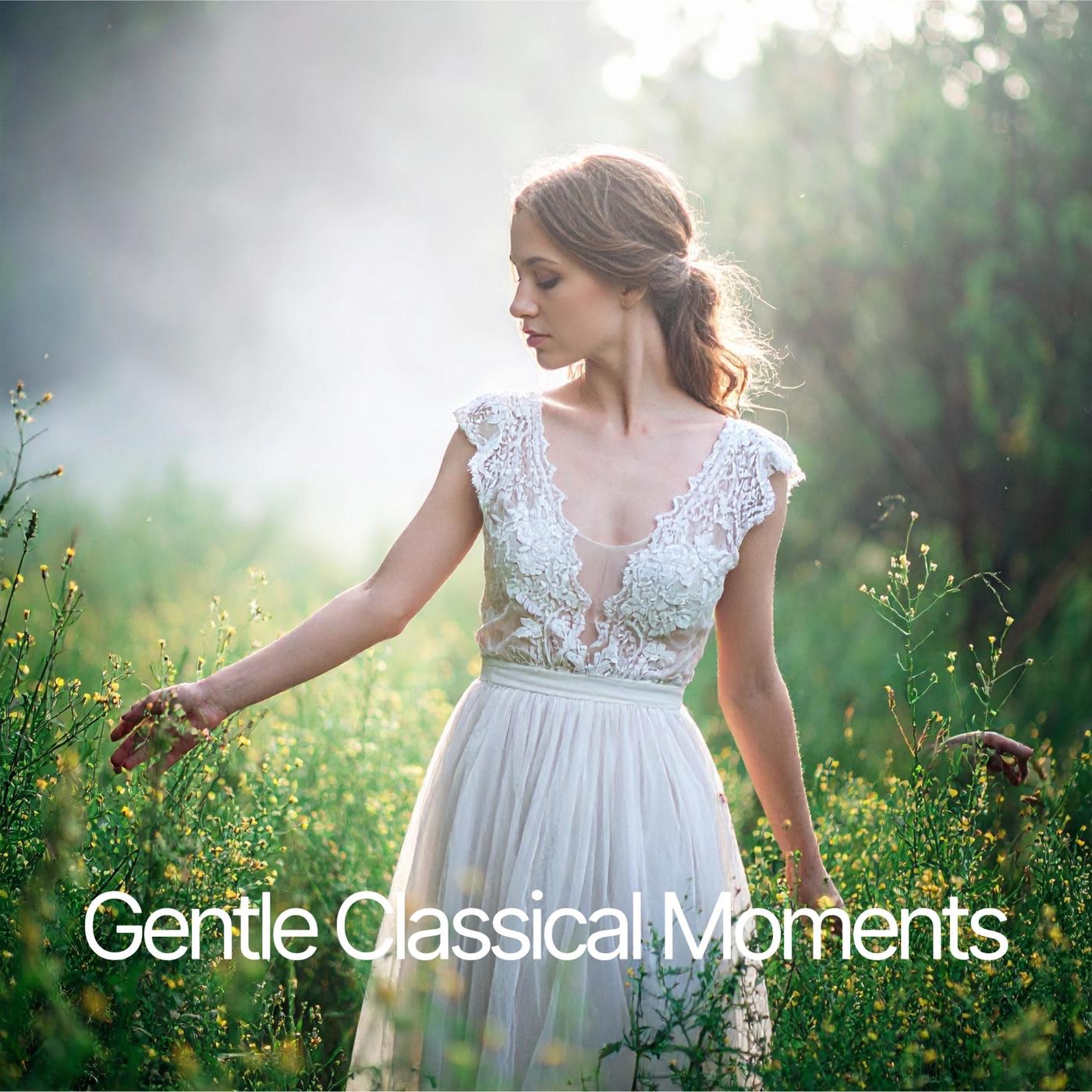 Gentle Classical Moments album cover