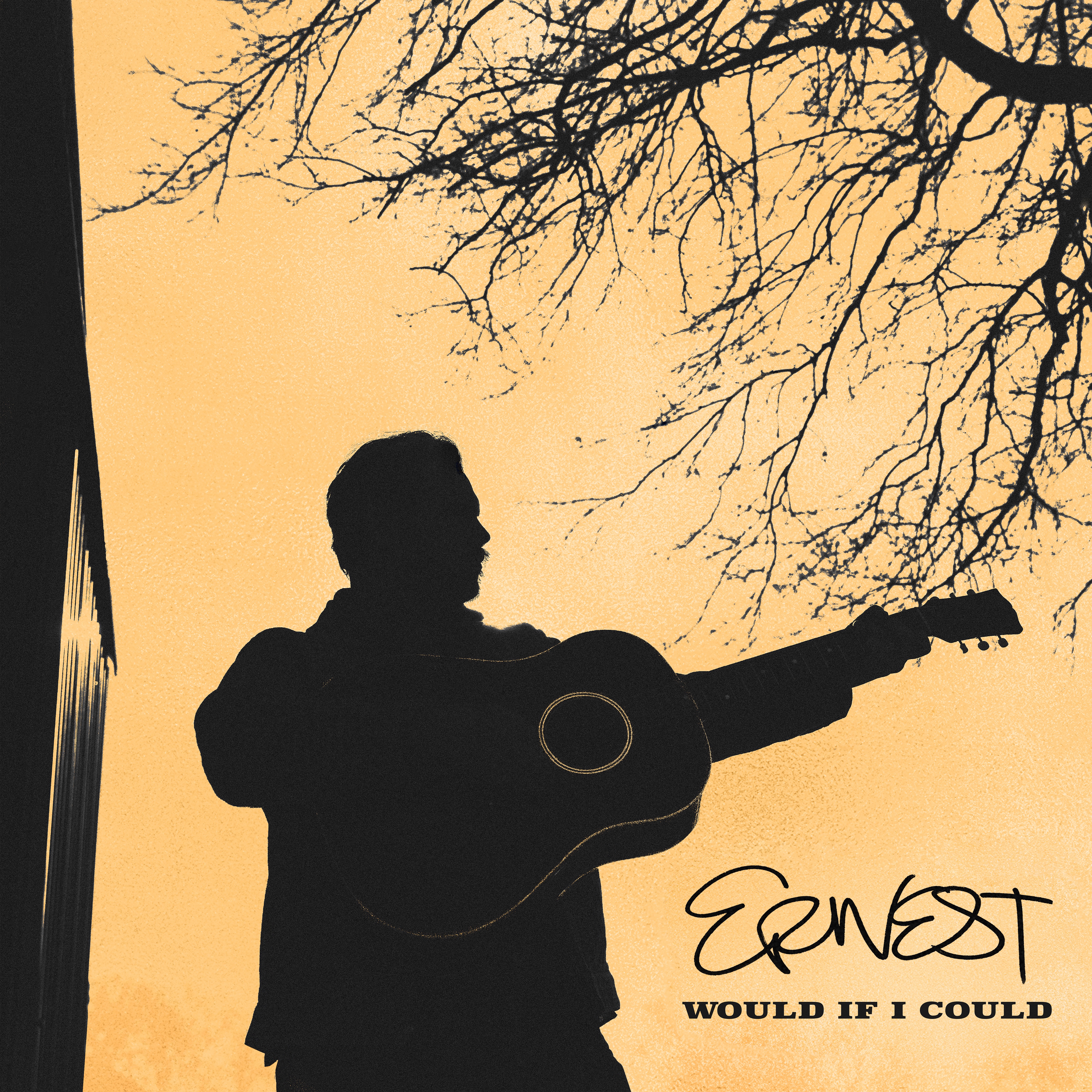 Would If I Could - Single album cover
