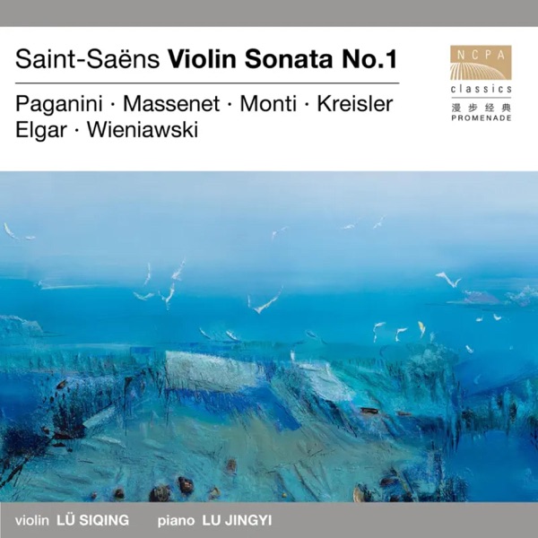 Violin Sonatas & Miniatures album cover