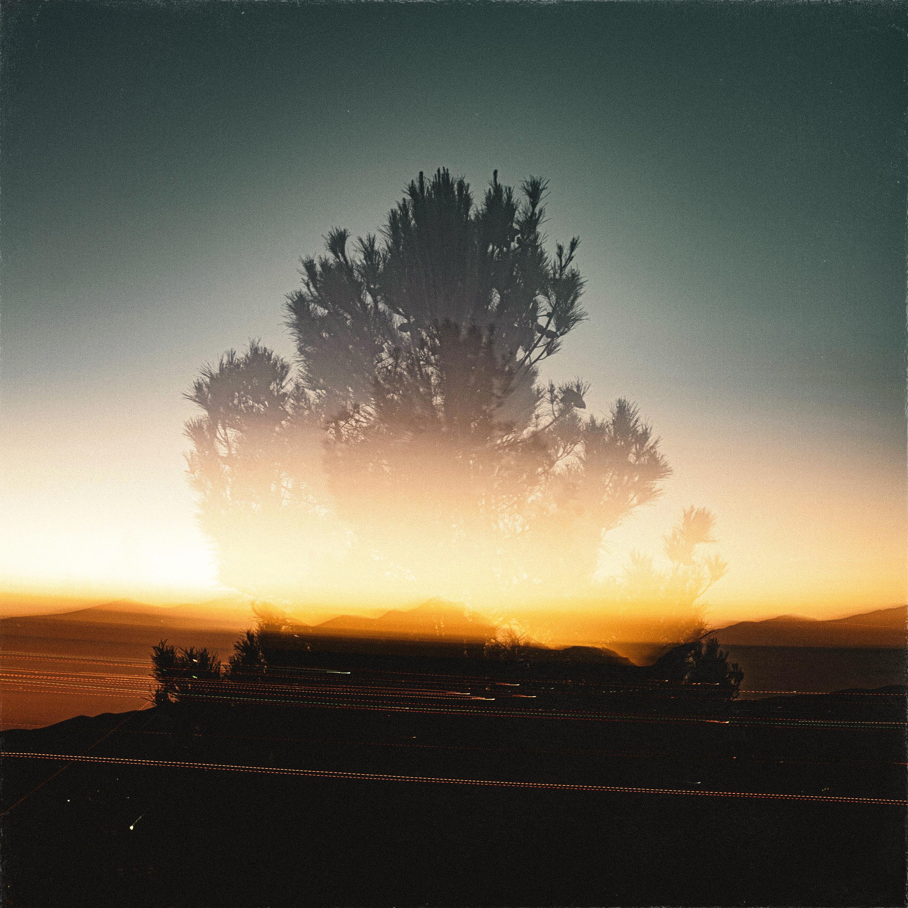 Sun's Out - Single album cover