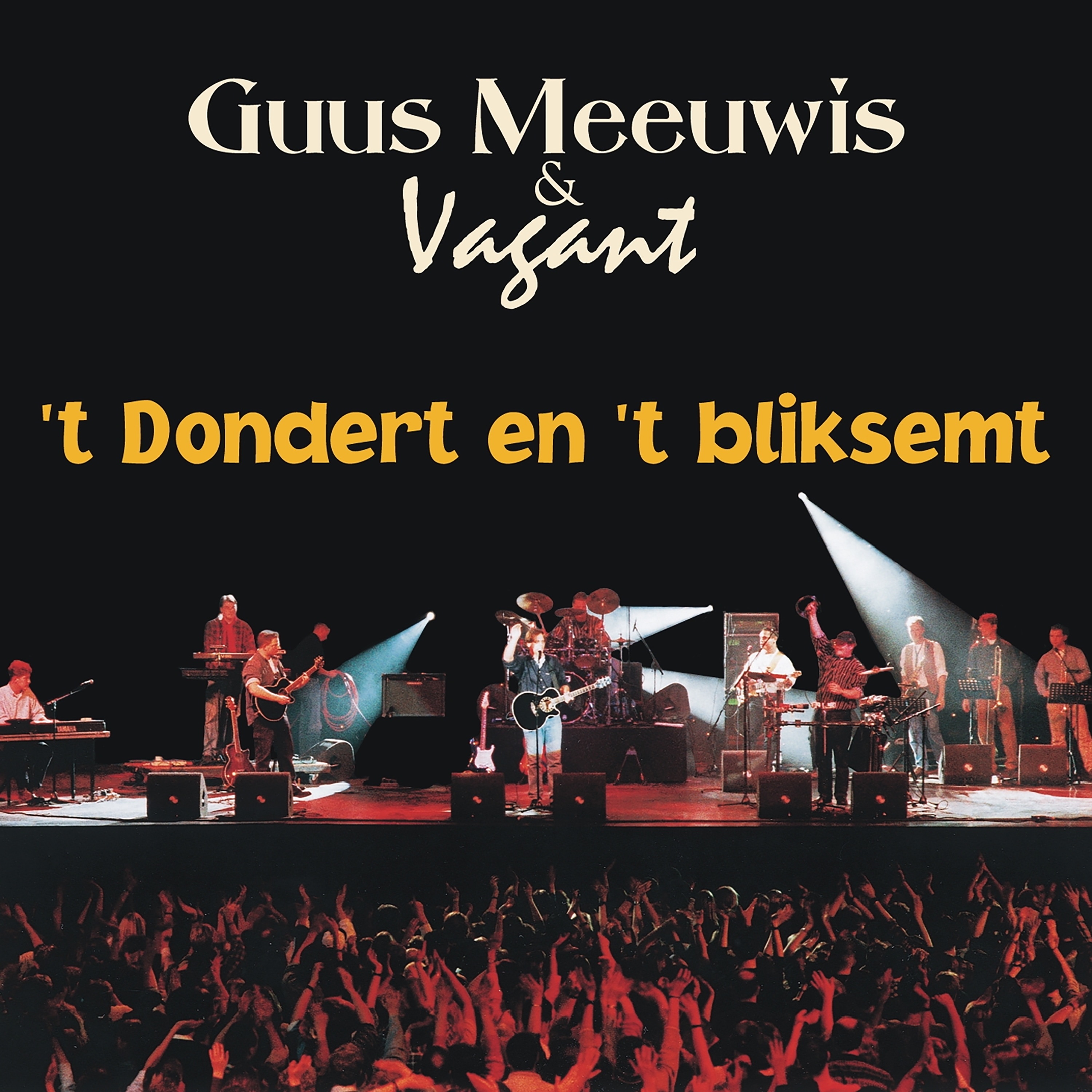 't Dondert en 't Bliksemt (feat. Vagant) - Single album cover