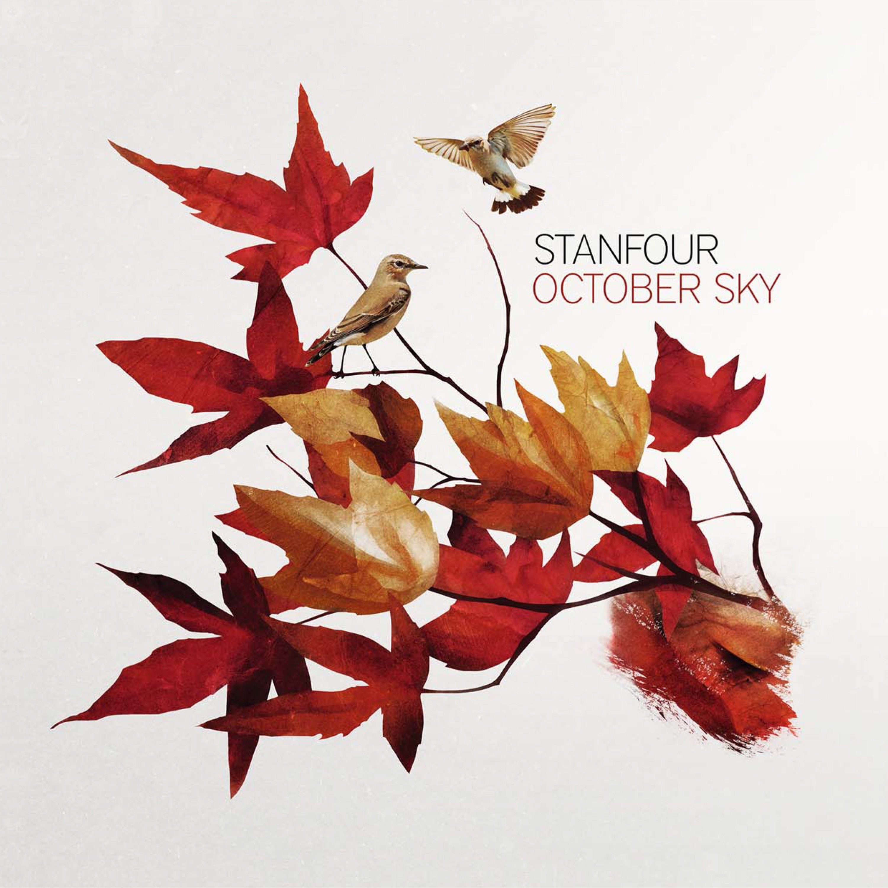 October Sky album cover