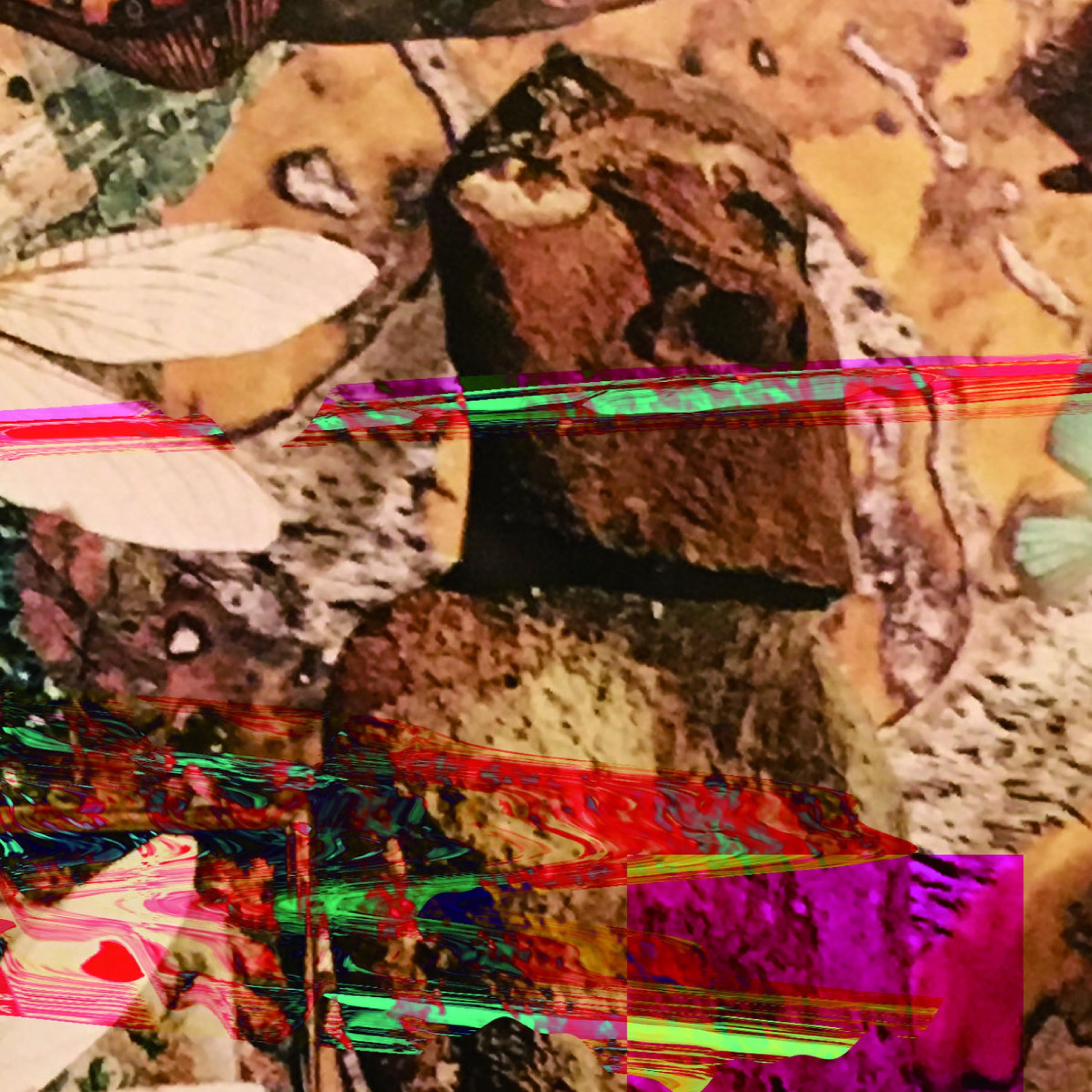 Double Beat Sequencer, Vol. 5 album cover