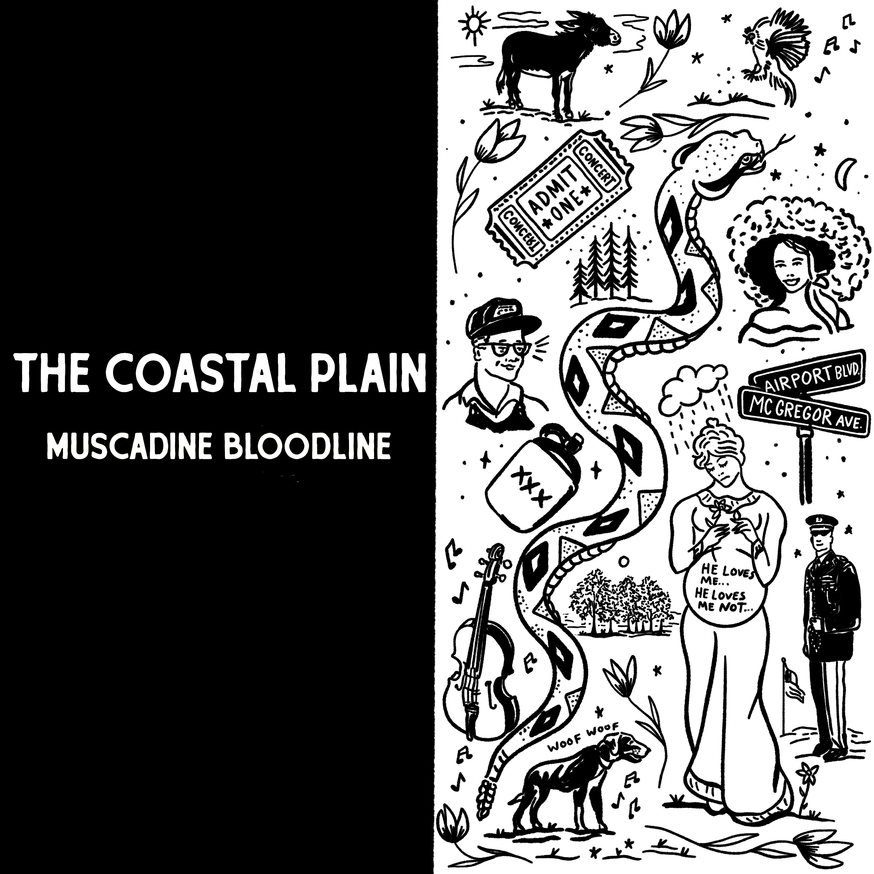 The Coastal Plain album cover