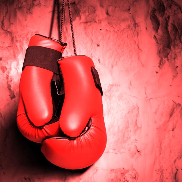 Gon Get It (Slow) [feat. DMX] - Single album cover