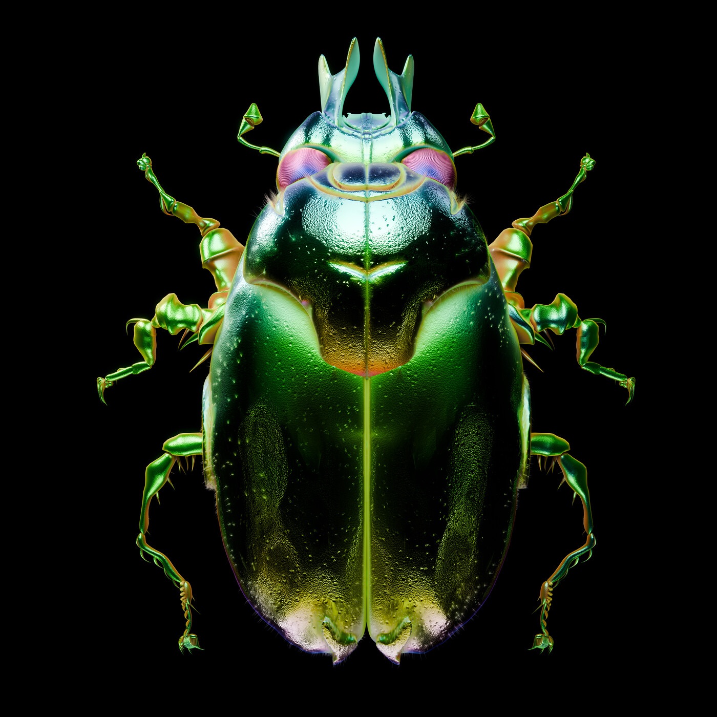 Beetle album cover