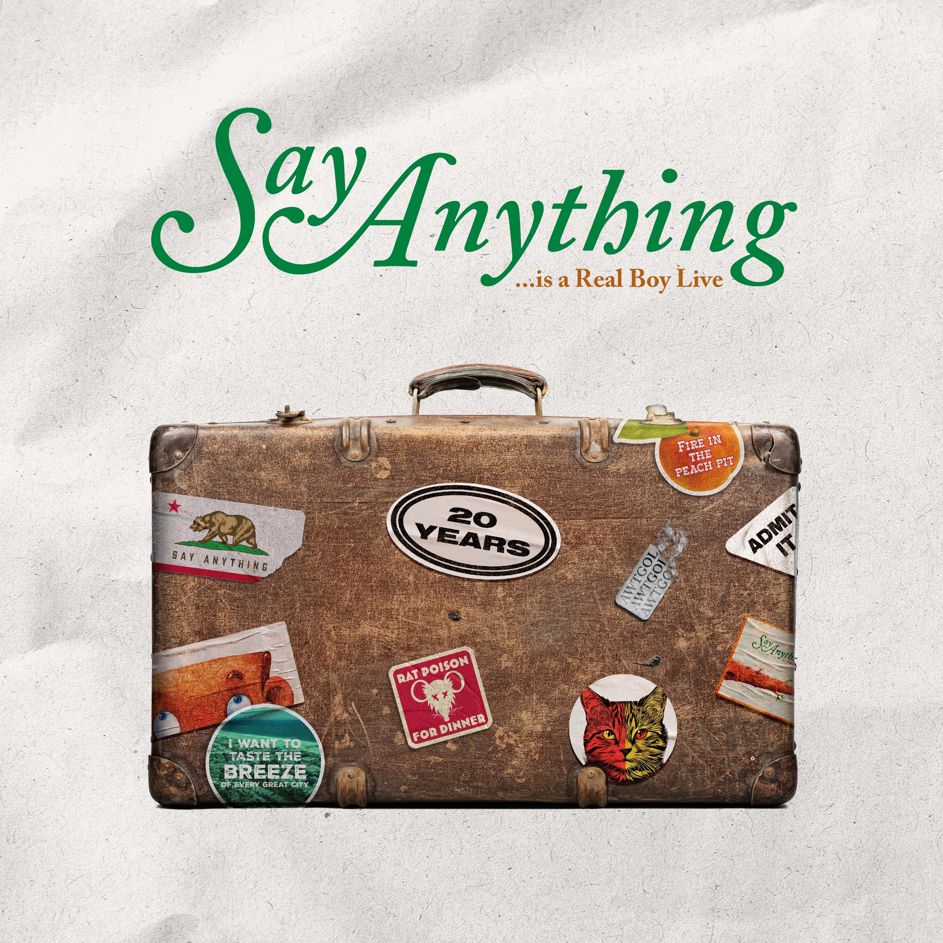 Say Anything ...Is A Real Boy (Live Version) album cover