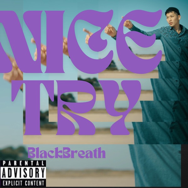 Nice Try - Single album cover