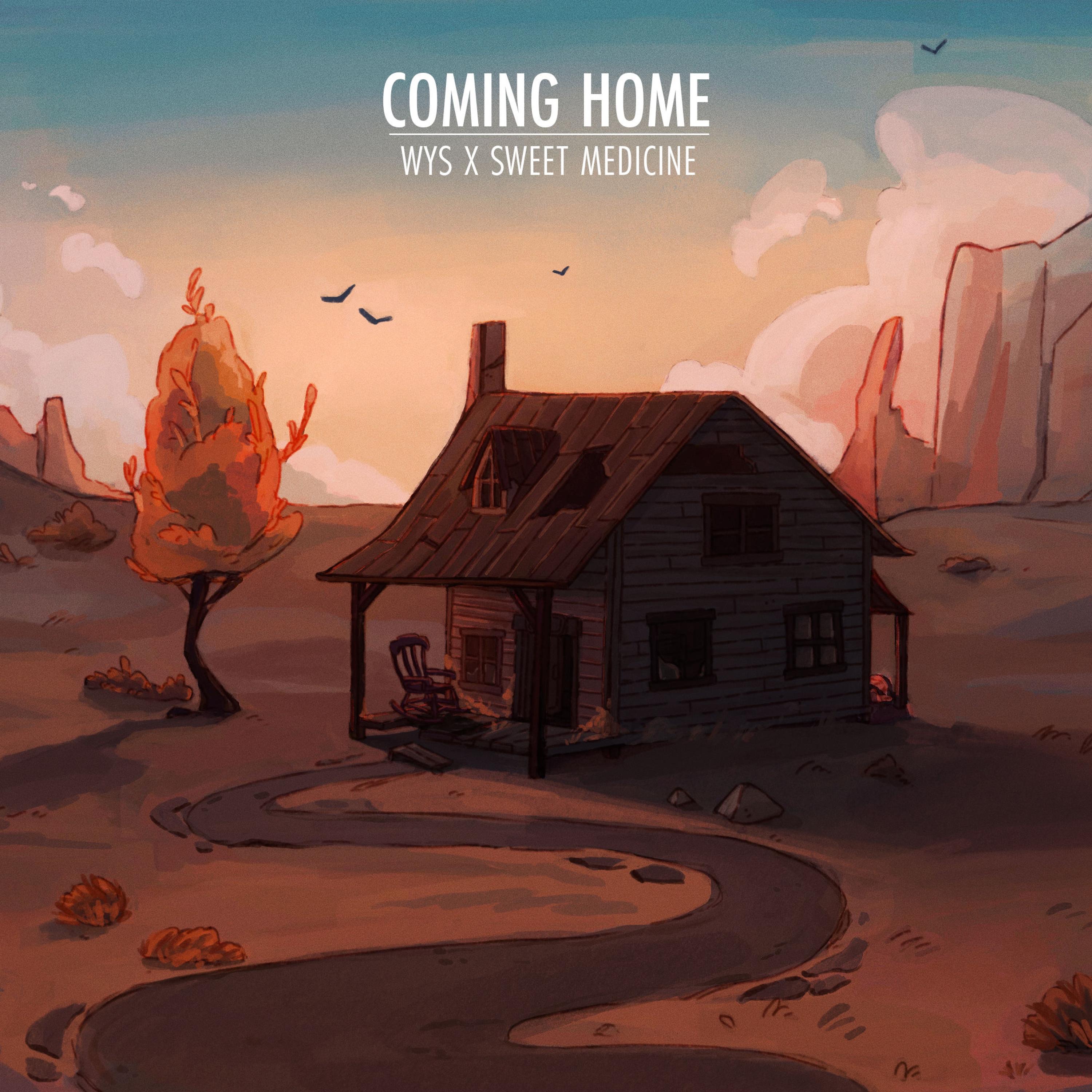 Coming Home album cover