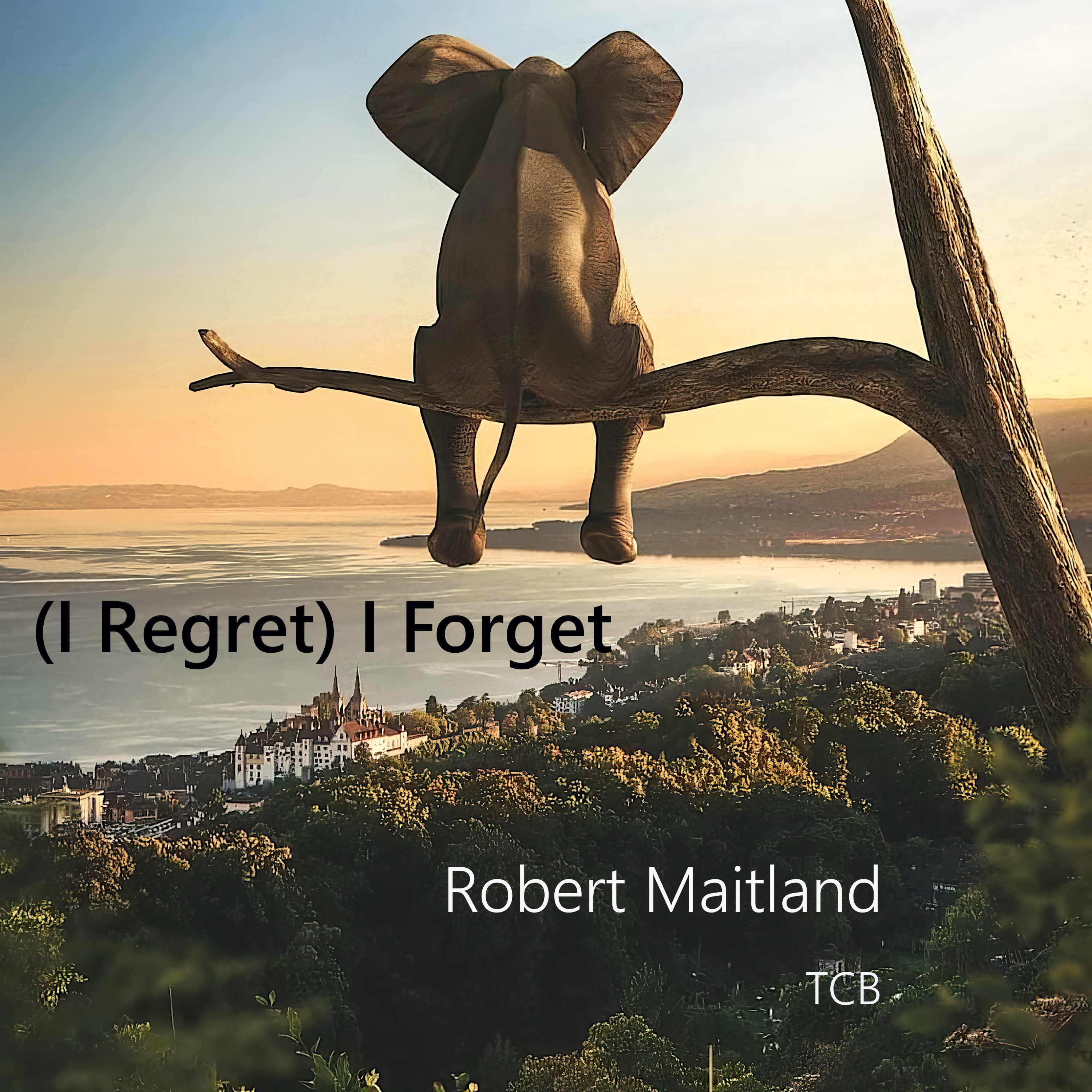 (I Regret) I Forget - Single album cover