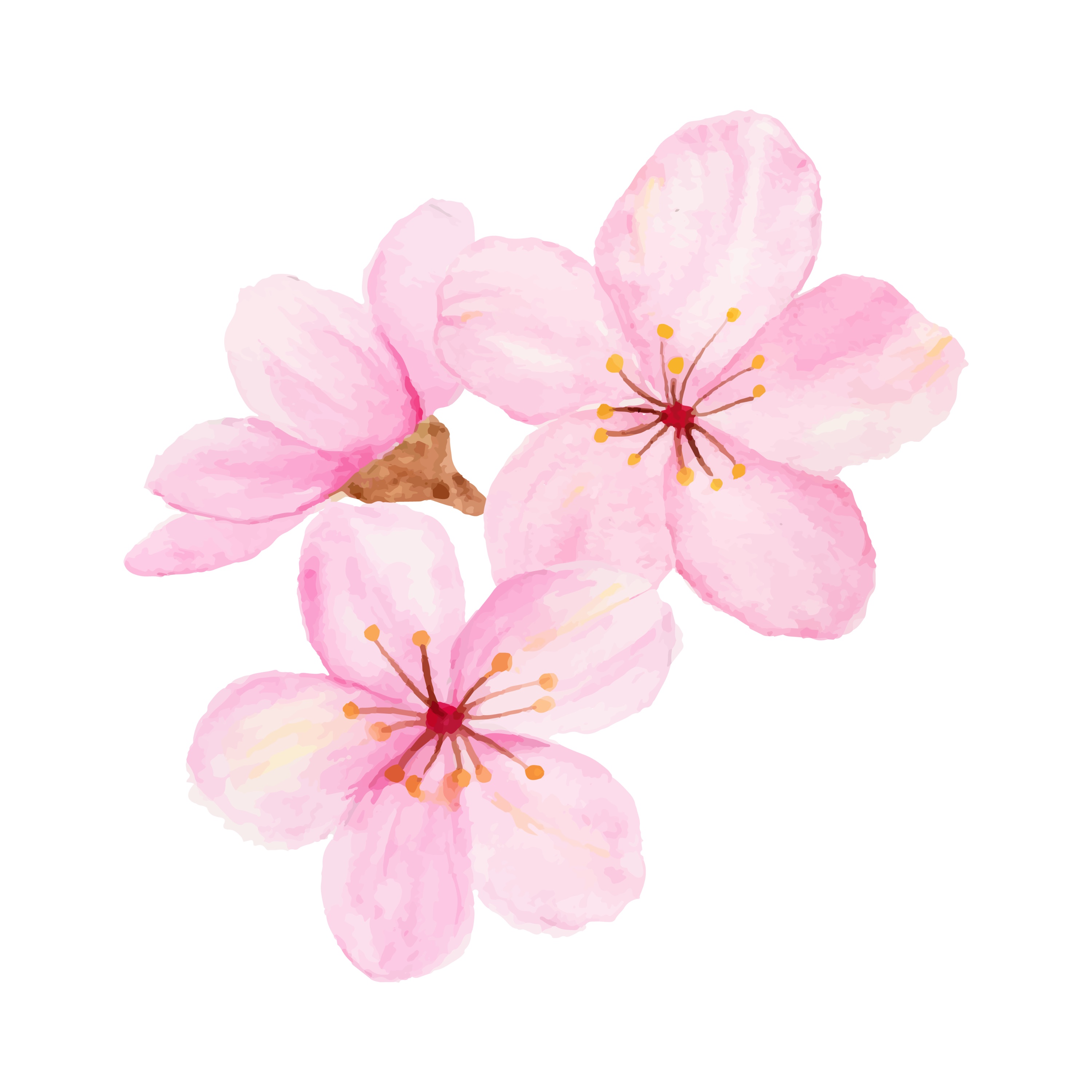 Blossom - Single album cover