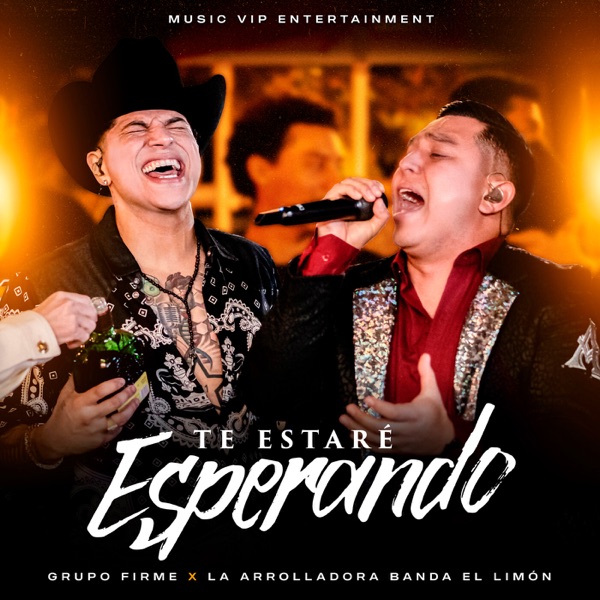 Te Estaré Esperando (En Vivo) - Single album cover