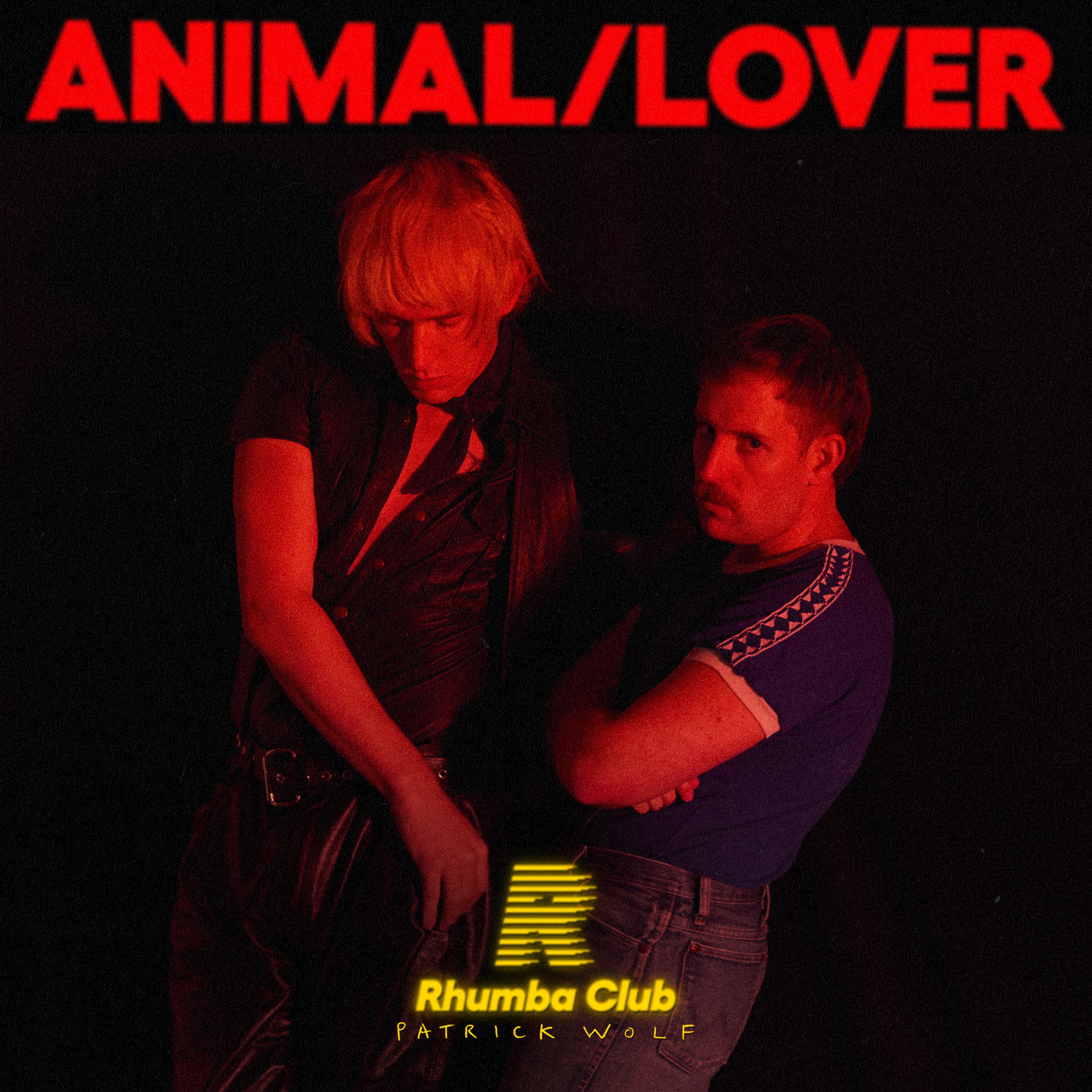 Animal/Lover (feat. Patrick Wolf) - Single album cover