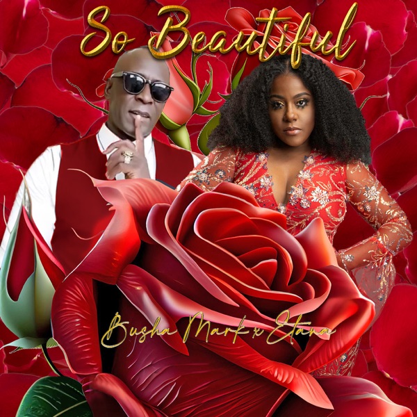 So Beautiful - Single album cover