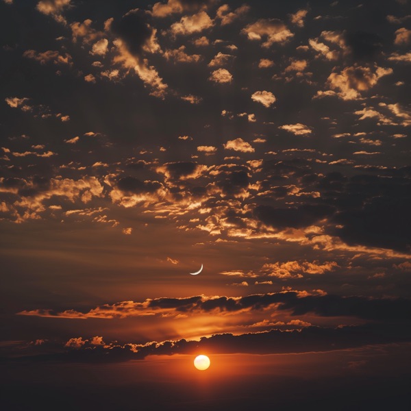 A Little Hope - Single album cover