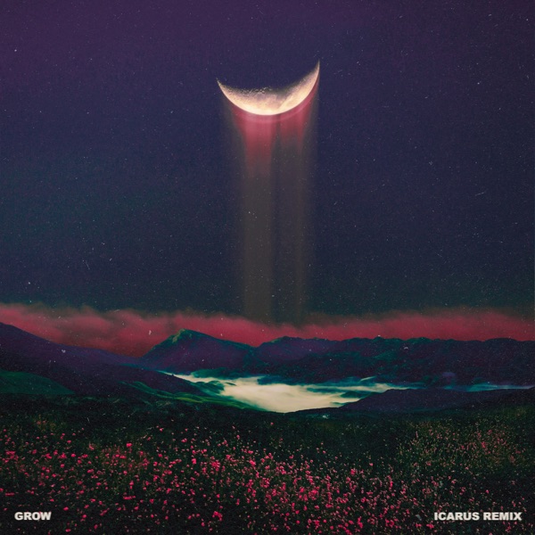 Grow (Icarus Remix) [feat. Wye Oak] - Single album cover