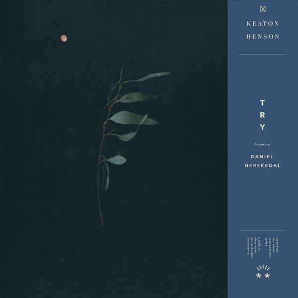 Try - Single album cover