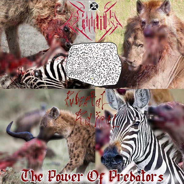 The Power of Predators (3 Way Split with M.W.A and Puberty Radical) album cover
