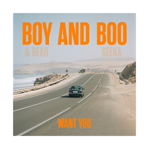 Want You - Single album cover