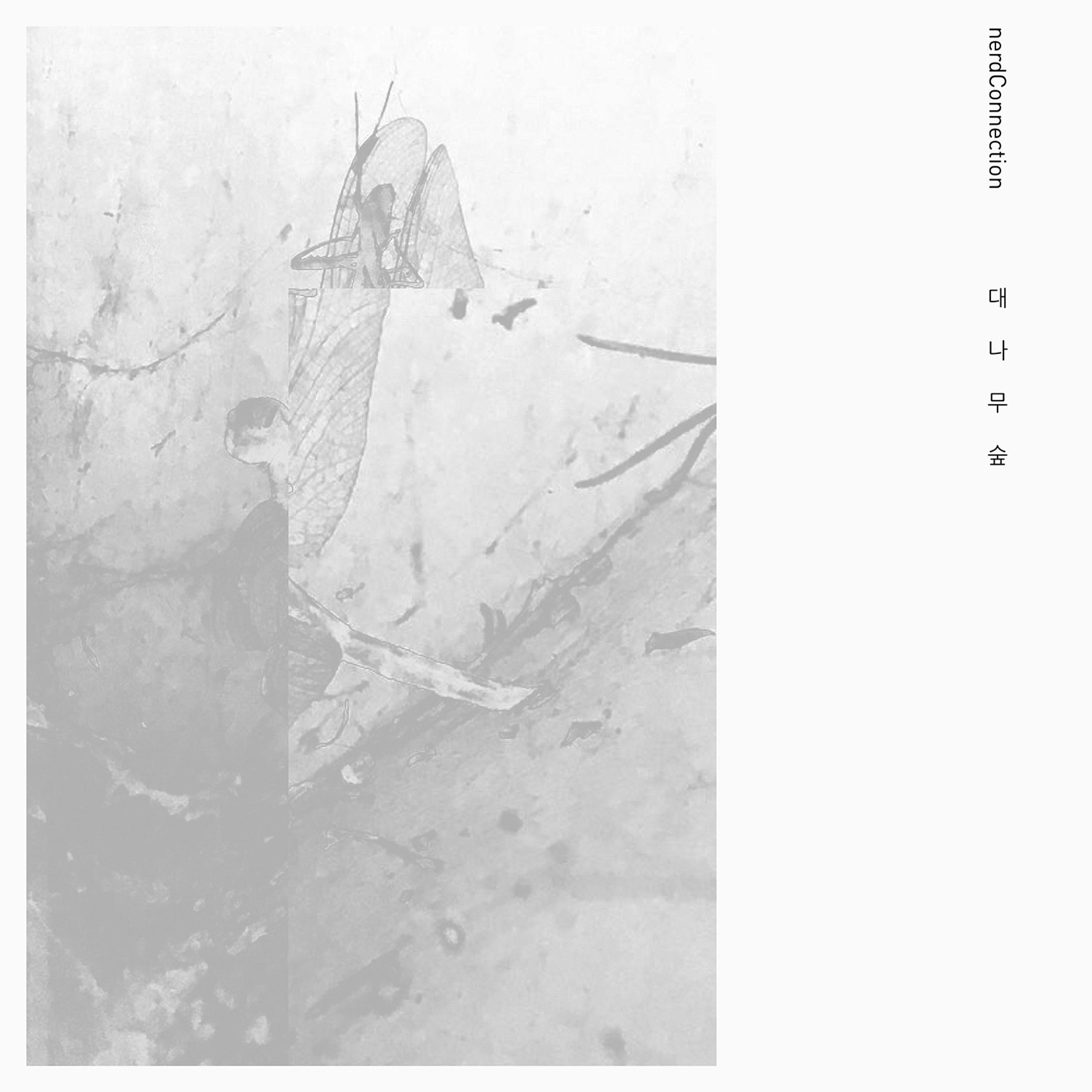 대나무숲 - Single album cover