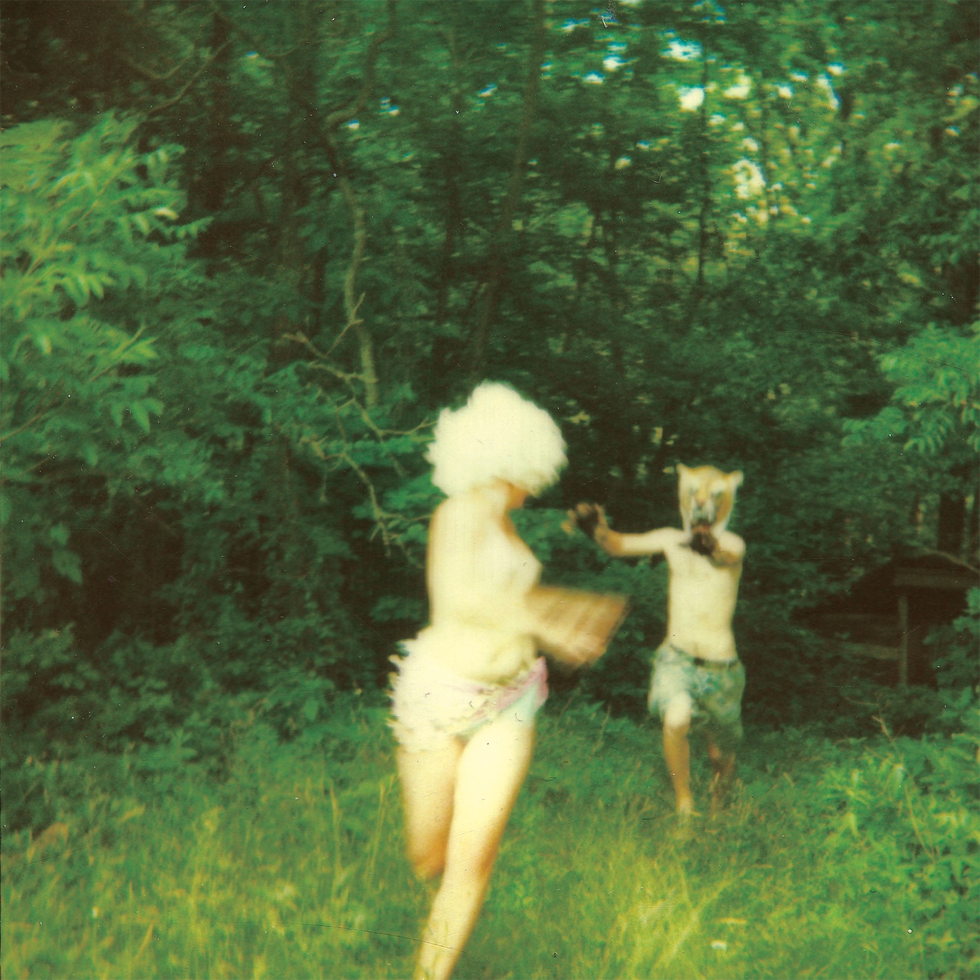 Harmlessness album cover