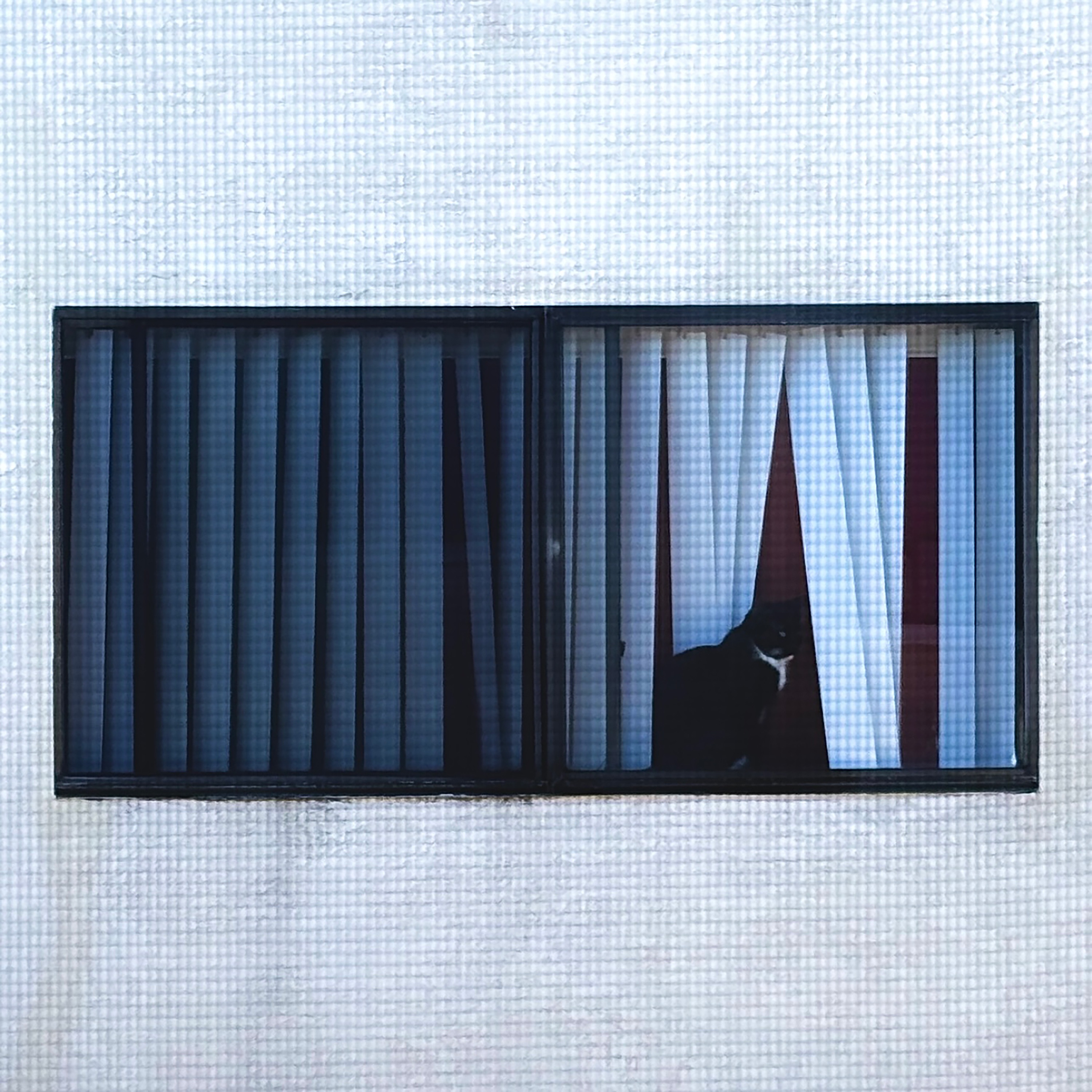 Pipe - Single album cover