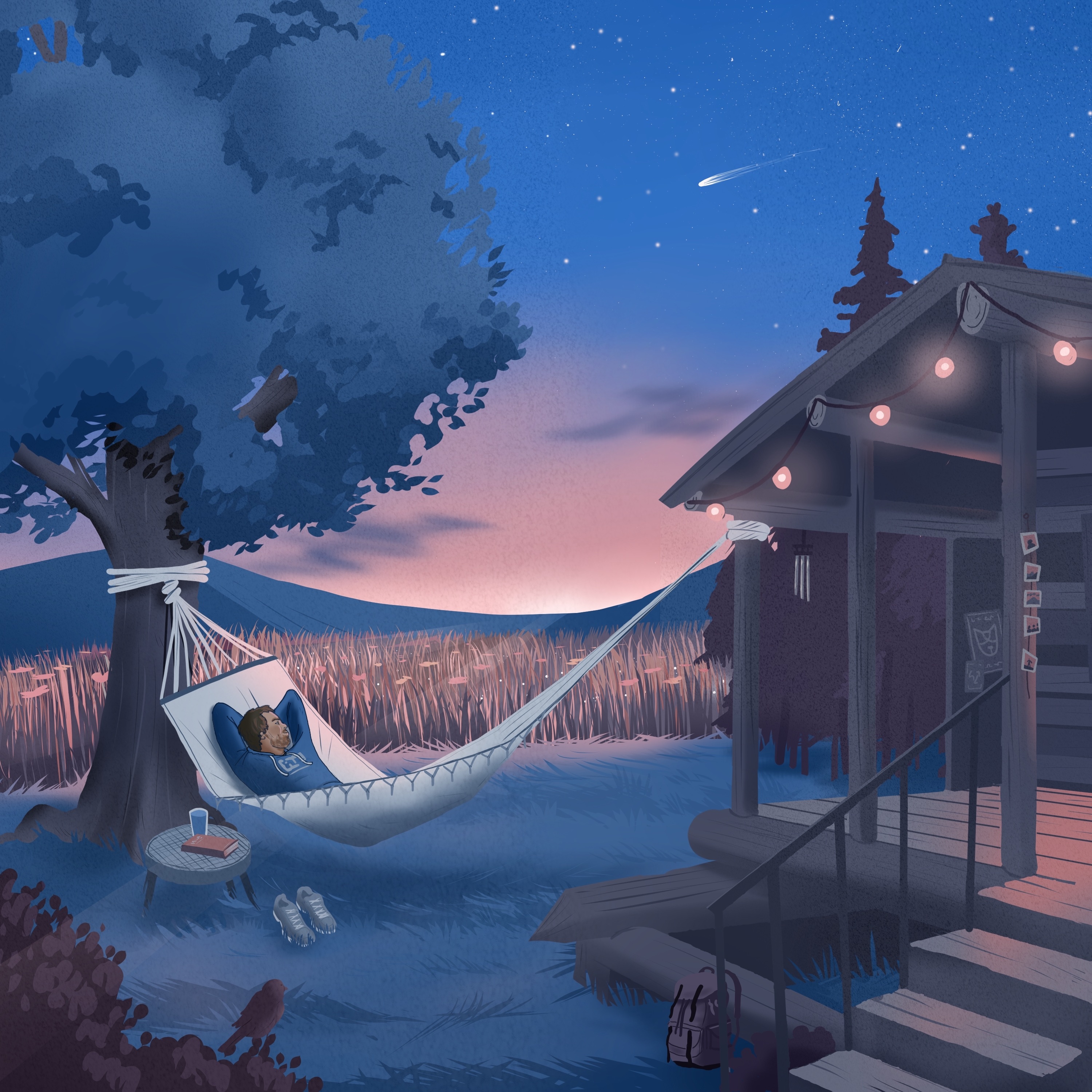 Field of Dreams album cover