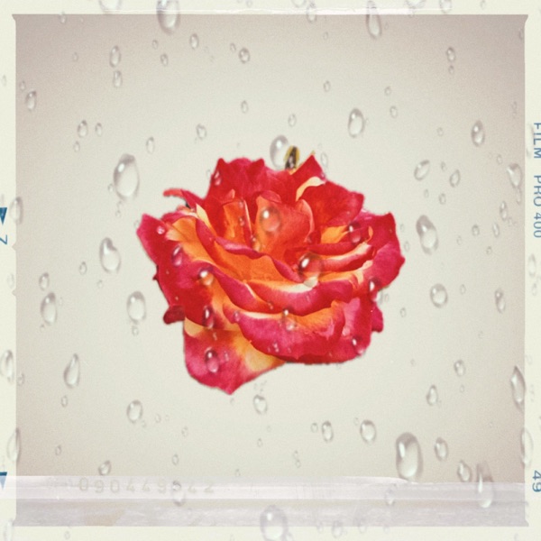 Unpaused - Single album cover
