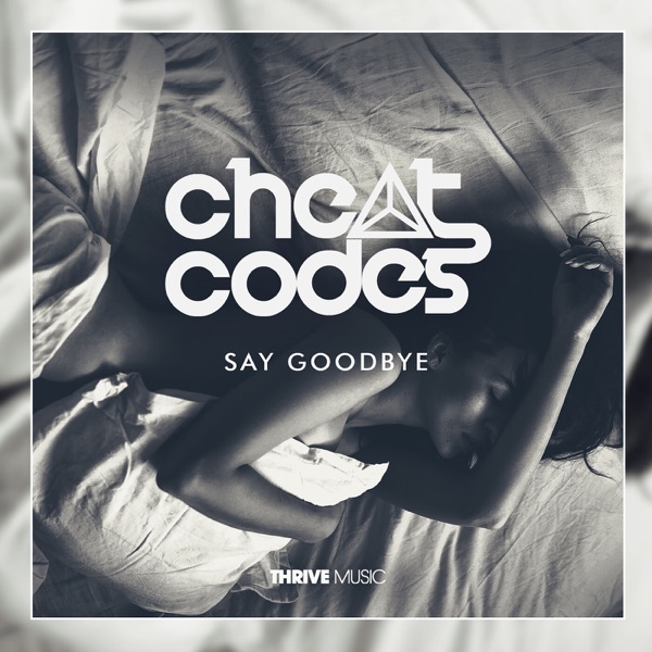 Say Goodbye - Single album cover