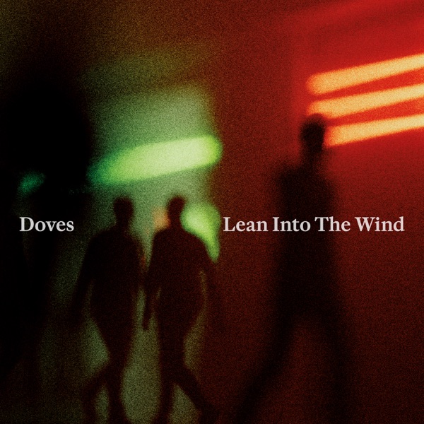 Lean Into The Wind - Single album cover