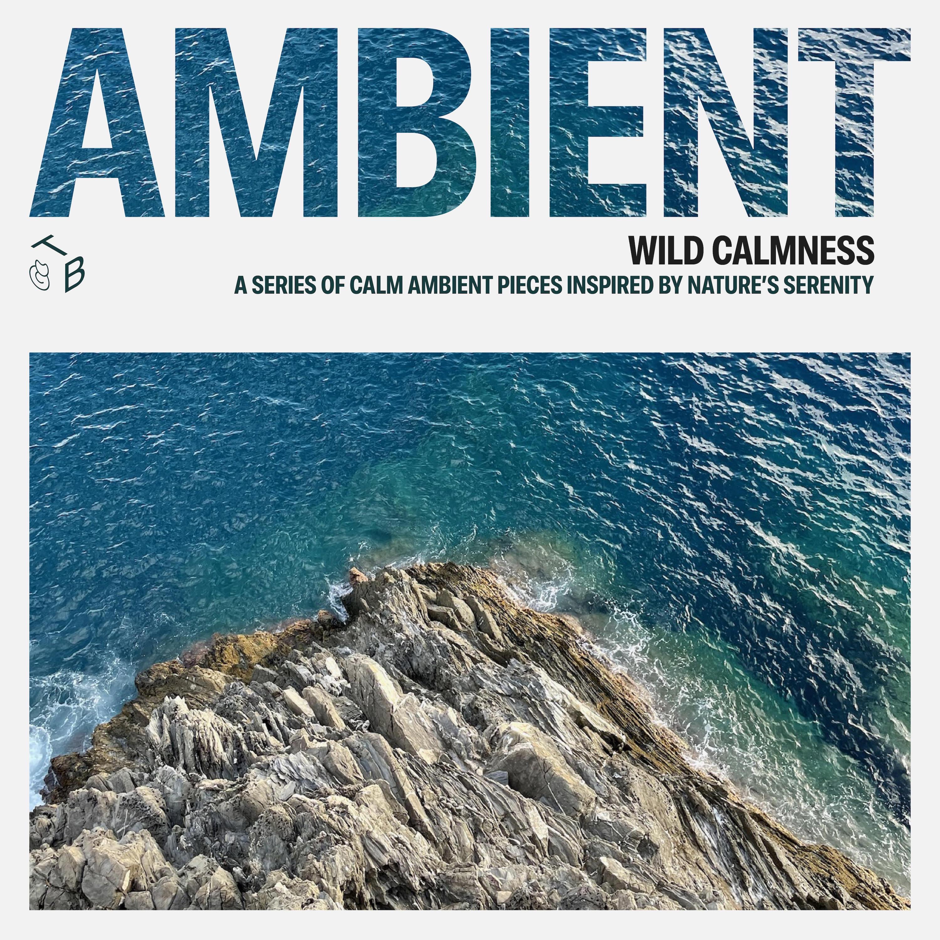 Wild Calmness - EP album cover