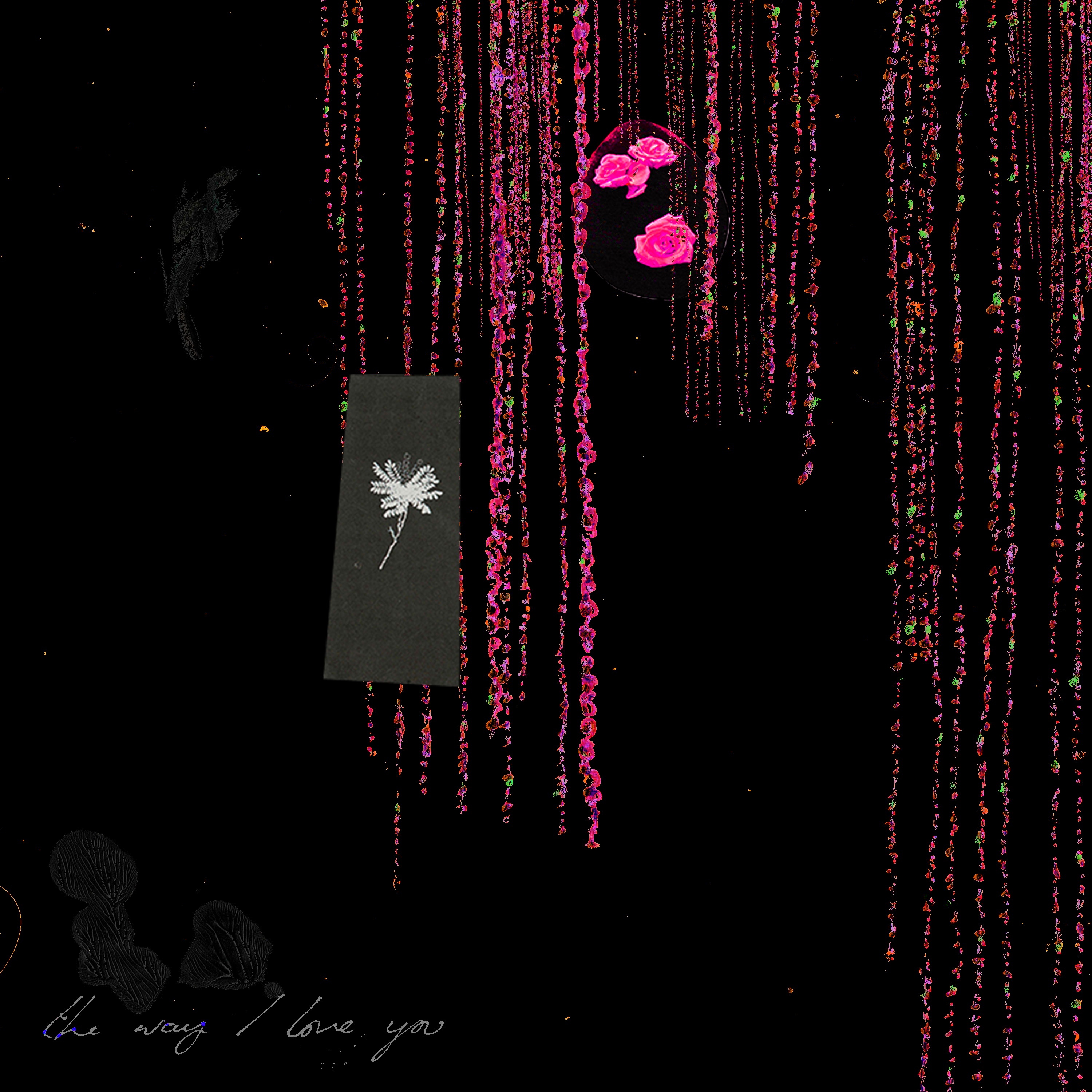 The Way I Love You (Remixes) - Single album cover