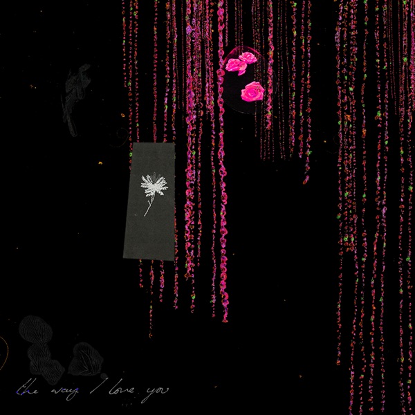 The Way I Love You (Remixes) - Single album cover