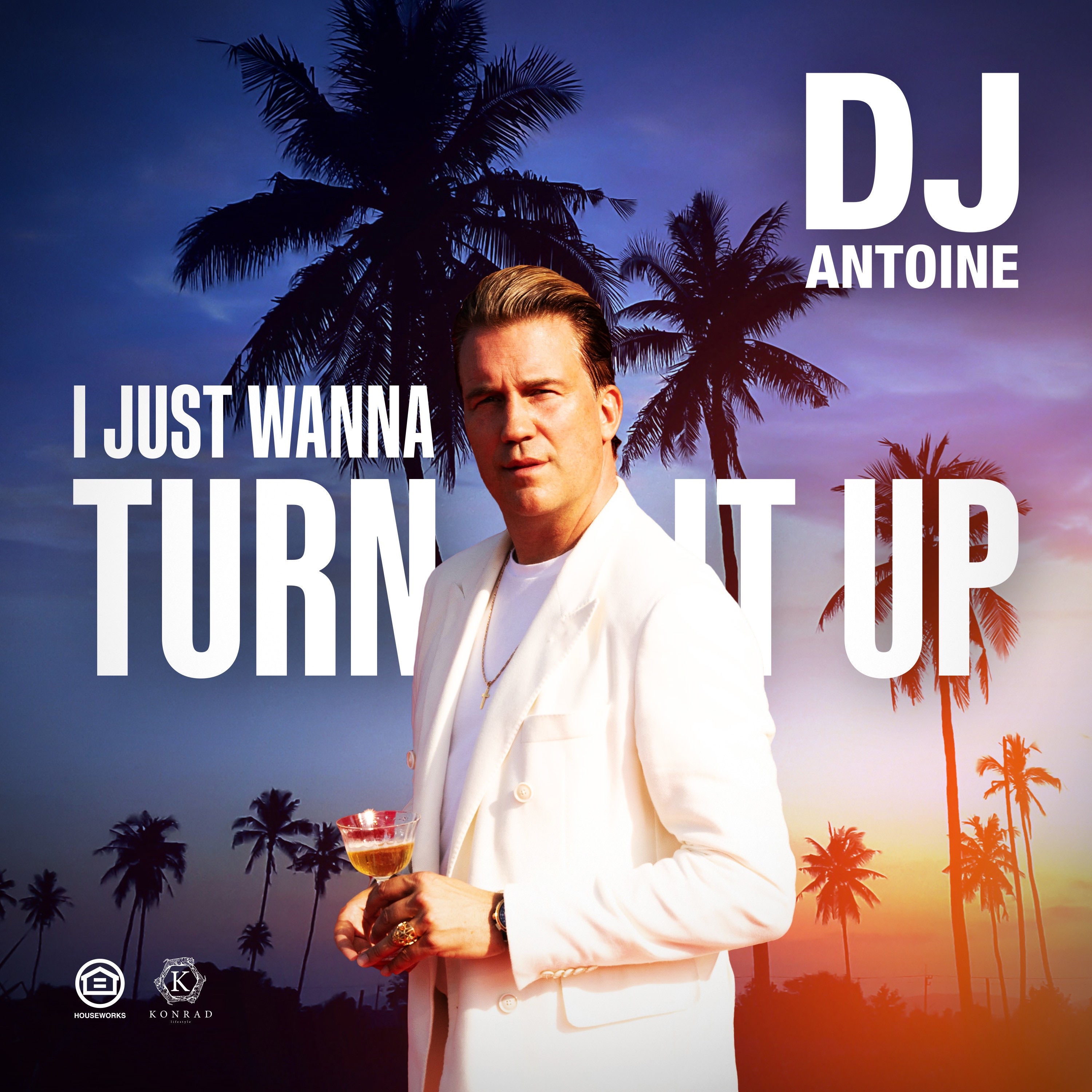 I Just Wanna Turn It Up (Extended Mix) - Single album cover