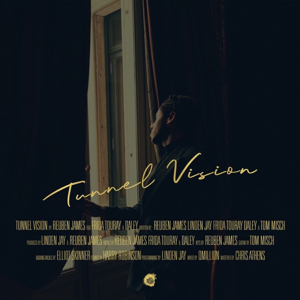Tunnel Vision (feat. Frida Touray & Daley) - Single album cover