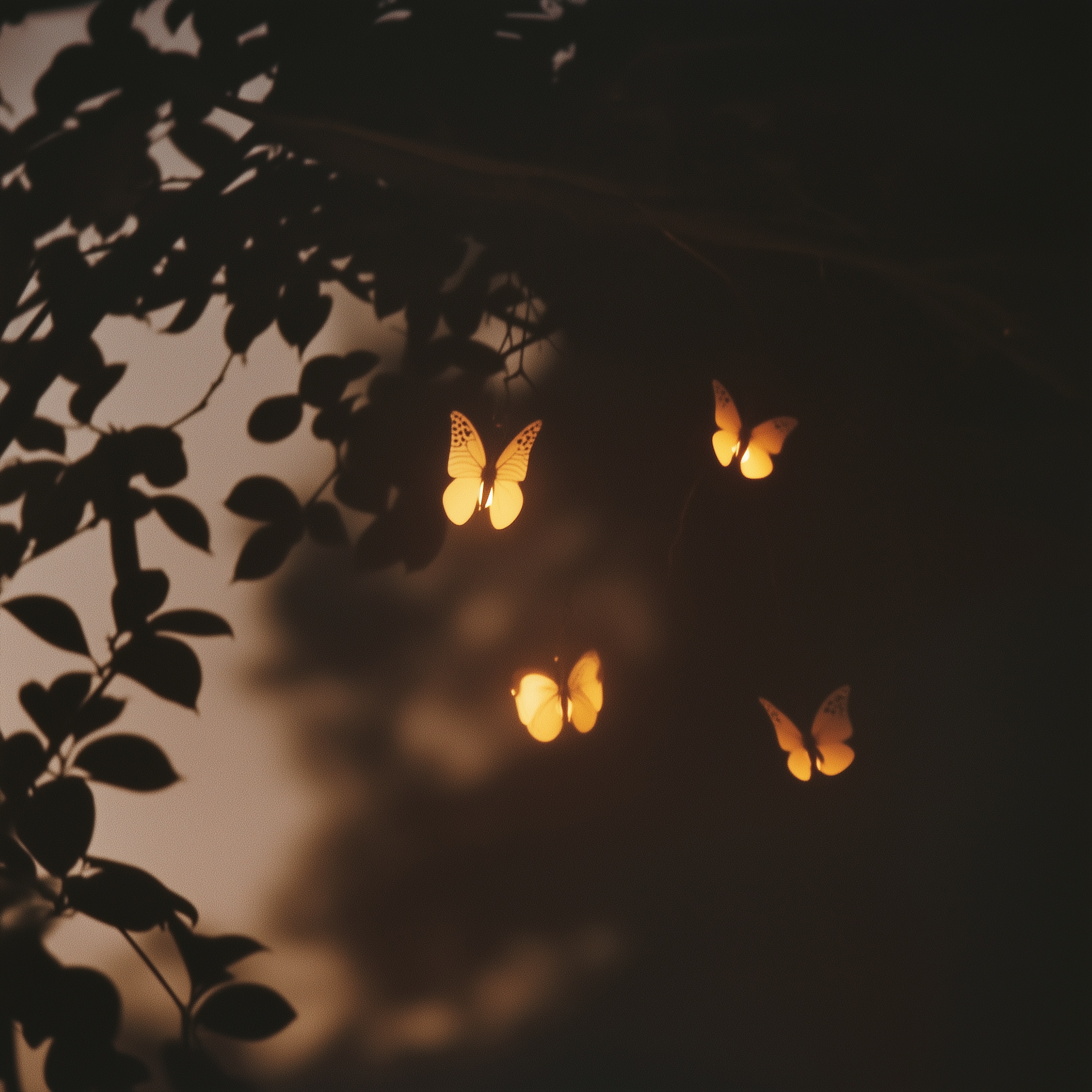 butterflies - Single album cover
