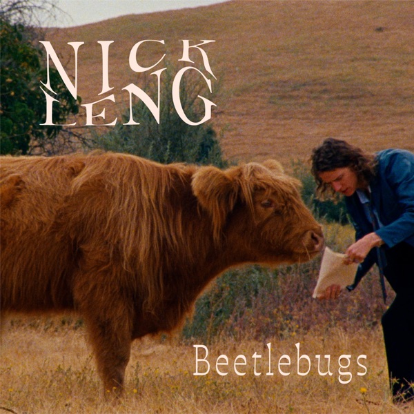 Beetlebugs - Single album cover
