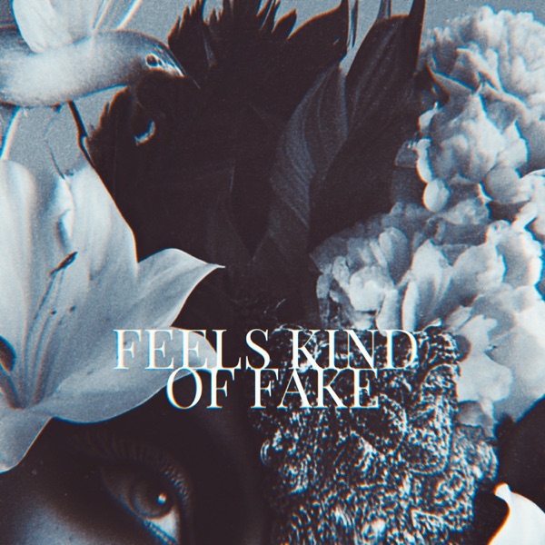 FEELS KIND OF FAKE - Single album cover