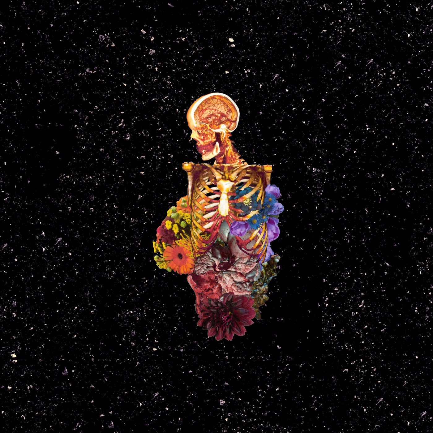 Visceral album cover