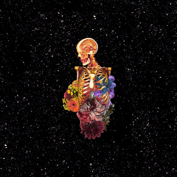 Visceral album cover