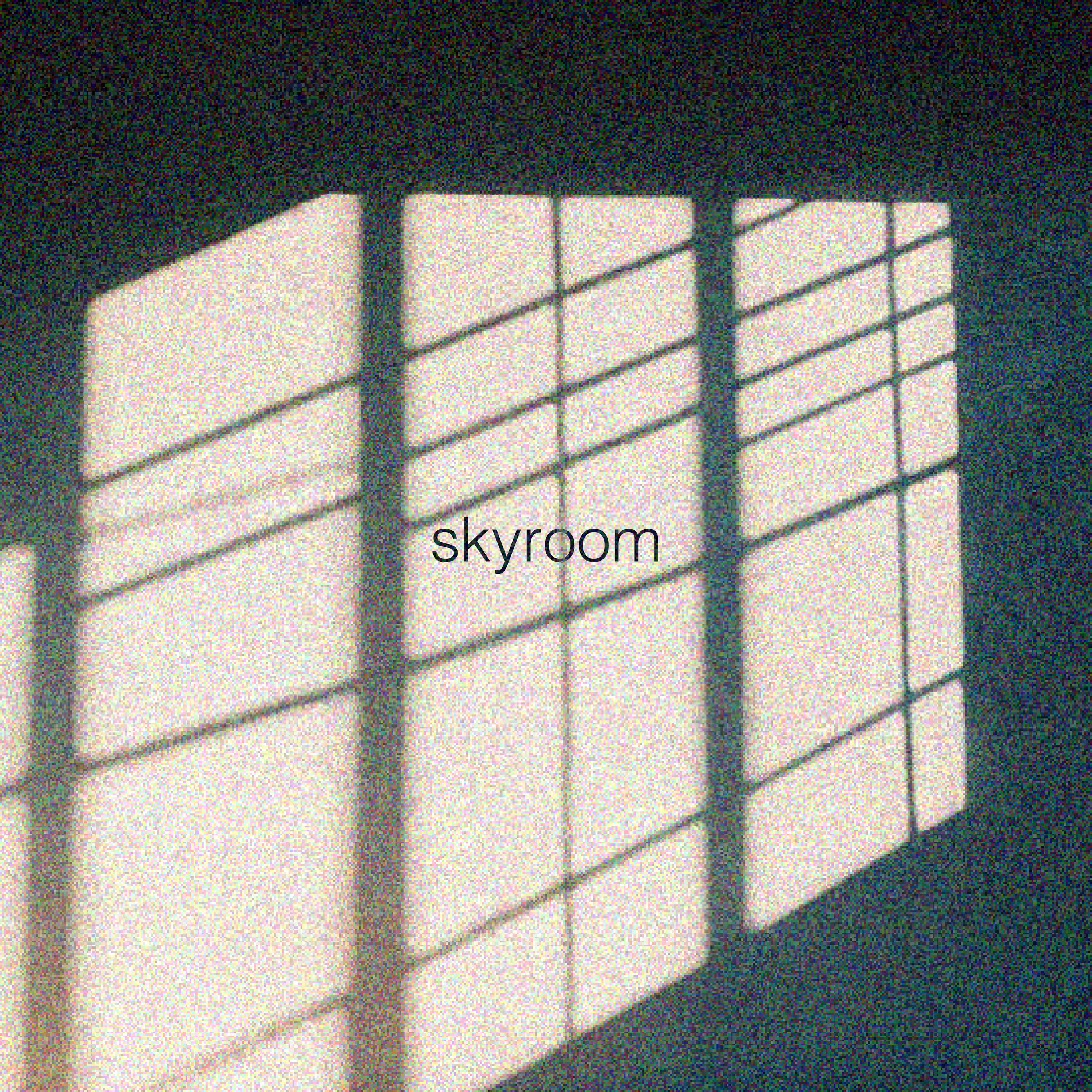 Skyroom - Single album cover