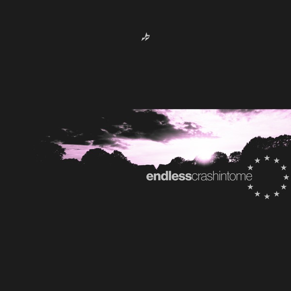 Endless (Crash into Me) - Single album cover